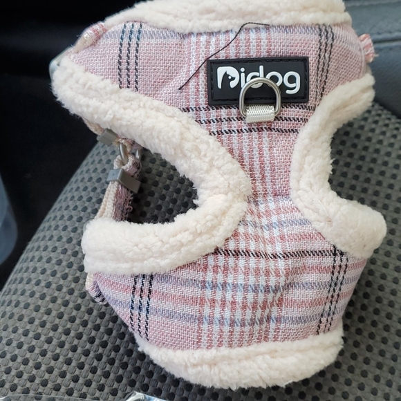 Dog ๐ walker - Picture 2 of 4